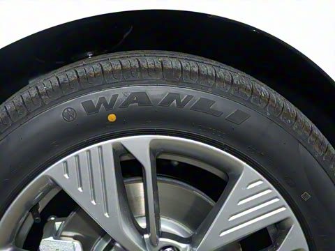 2023�� PRO �������а� 425km