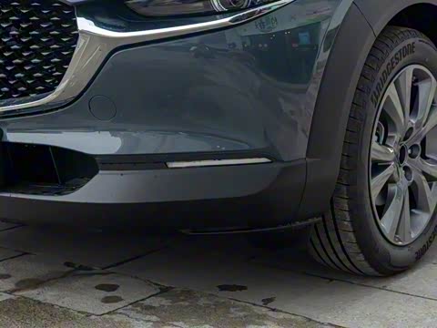 2020�� 2.0L �Զ�������