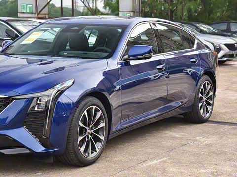 2025�� 28T �����˶���