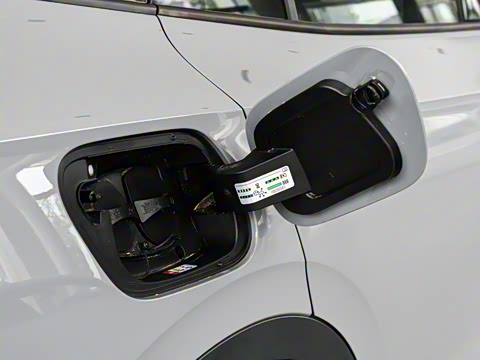 2025�� ������PURE+��