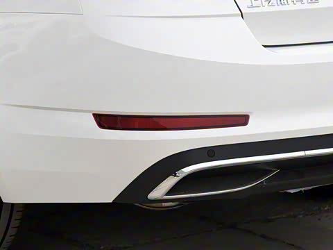 2019�� TSI230 DSG���к����� ��VI