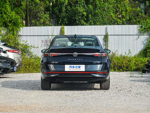 2024��  300TSI DSG���������۰�