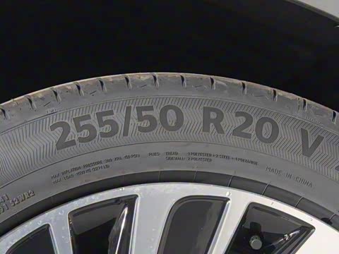 2025�� ���� 265 Pro�������ٸ�����ʻ