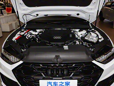 2025�� 55 TFSI quattro ������