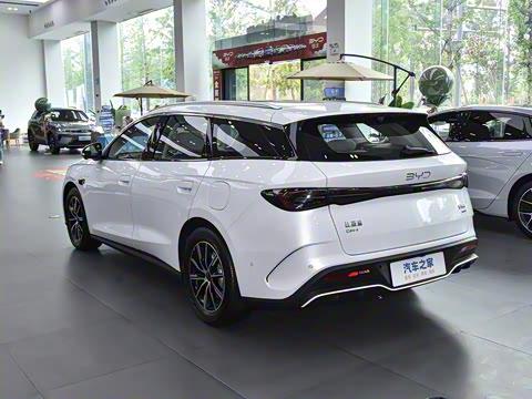 2025�� DM-i 80KM�����