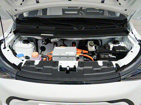 2025�� 305km ������