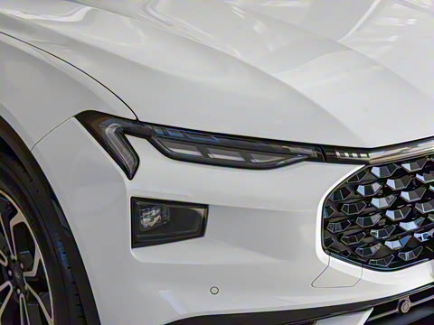 2022�� EcoBoost 245 �˶���