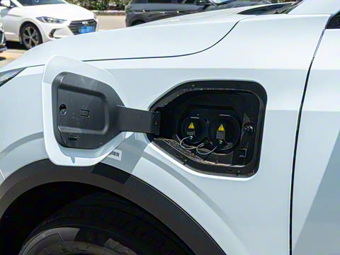 2025�� 445km ���ð�