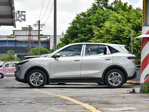 2025�� 445km ��ѡ��