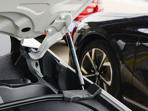 2025�� ����200�����˶���