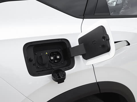 2025�� 205��������������