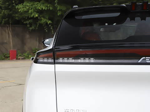 2025�� 205��������������