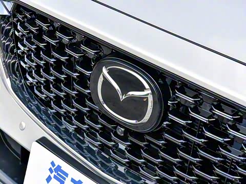 2025�� 2.0L �Զ���������Pro