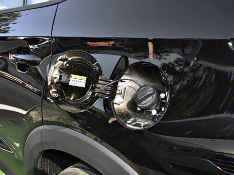 2024�� ���˰� 5��