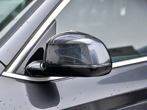 2021�� ������