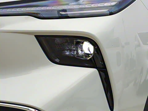 2025�� 565km ������