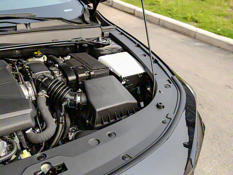 2023�� 1.5T �˶���