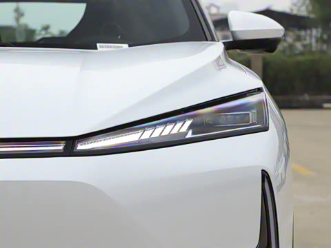 2025�� 205��������������