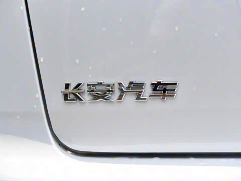 2019�� 1.5T �Զ���ɫ�� ��VI