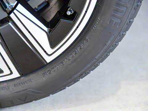 2022�� �Ŀ� ������