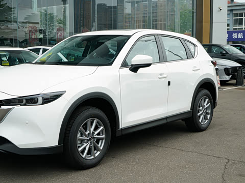 2025�� 2.0L �Զ�����������