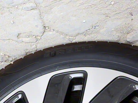 2022�� �������������