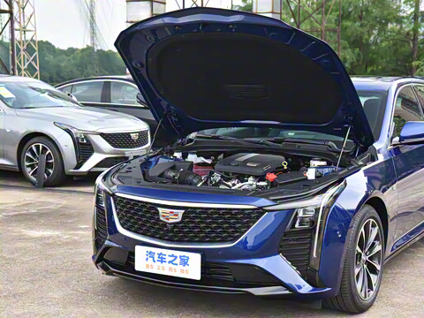 2025�� 28T �����˶���