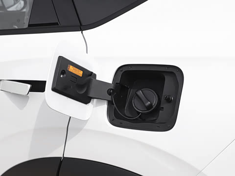 2025�� 205��������������