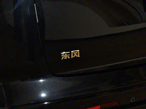 2025�� 636Max���Ȱ� 6��