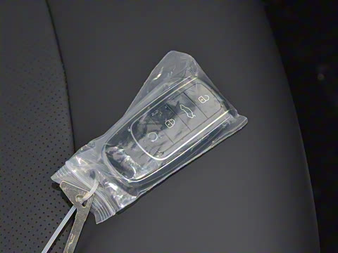 2021�� ������ 290TGDI �Զ�����