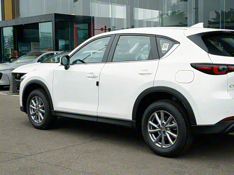 2025�� 2.0L �Զ�����������