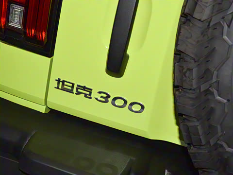 2021�� 2.0T ̹������