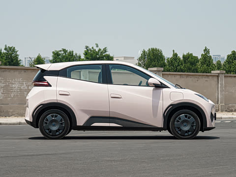 2025�� �Ǽݰ� 305km ������