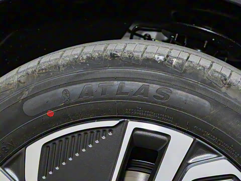 2025�� 55km ������