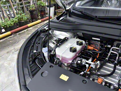 2025�� 445km ��ѡ��