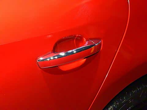 2019�� 50T Trophy 5���