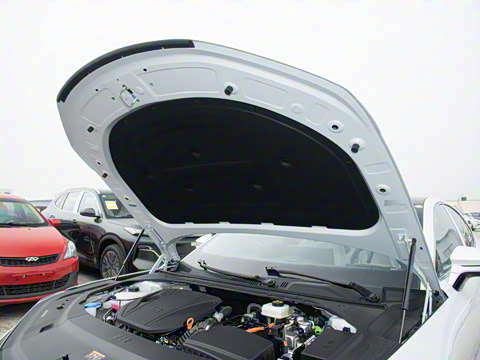 2025�� 130km EM-i ������