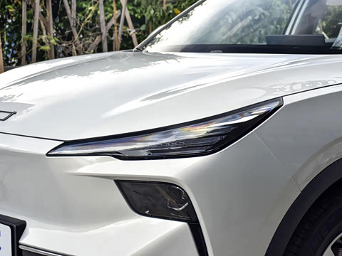 2025�� 445km ��ѡ��