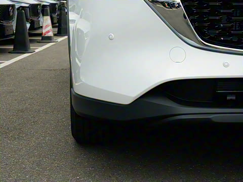 2025�� 2.0L �Զ�����������