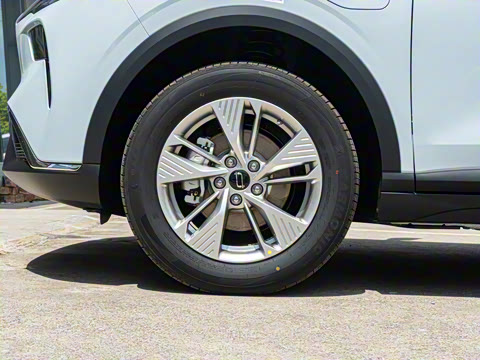 2025�� 445km ���ð�