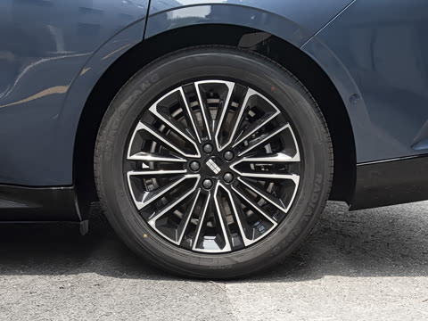 2025�� 130km EM-i ������