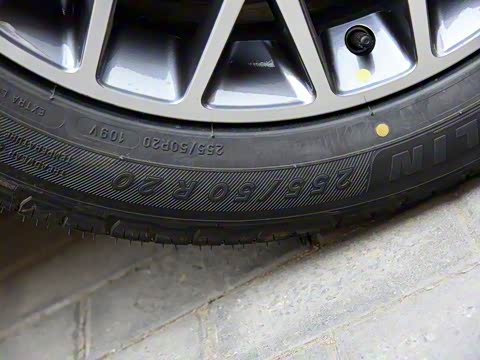 2020�� ���羭���