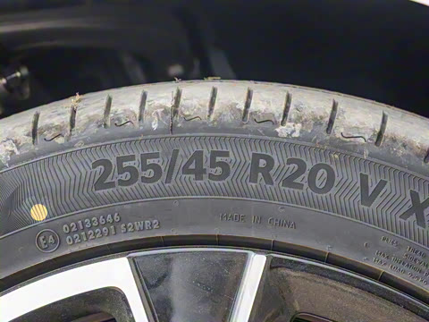 2025�� Pro�����