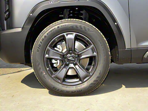 2025�� 2.0T 4WD Pro