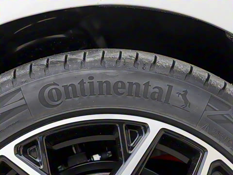 2025�� ���� 230ProѲ����