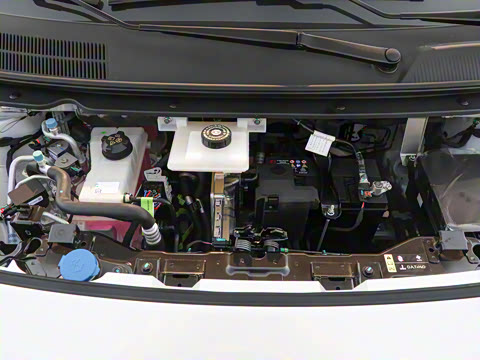 2025�� 330��ҫ��