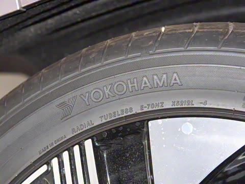 2024�� 555������