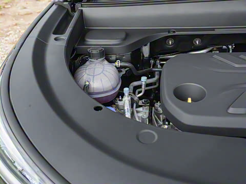 2025�� 145��ҫ��