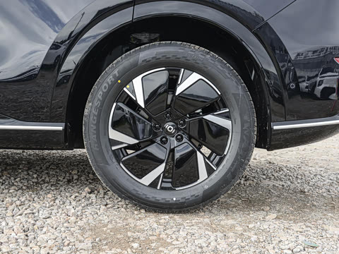 2025�� 145��ҫ��