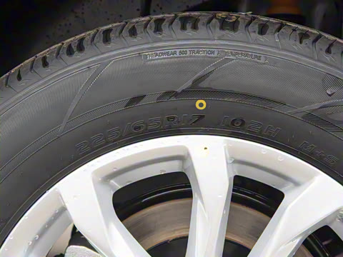 2025�� ׿Խ��  1.5T CVTȫ���